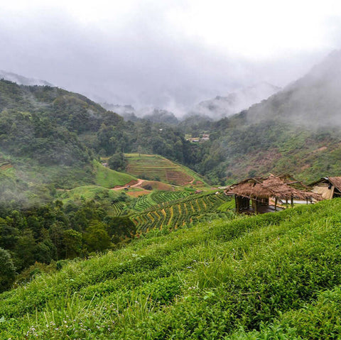 chiang mai countryside in Thailand