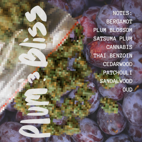 Plum & Bliss extrait de parfum