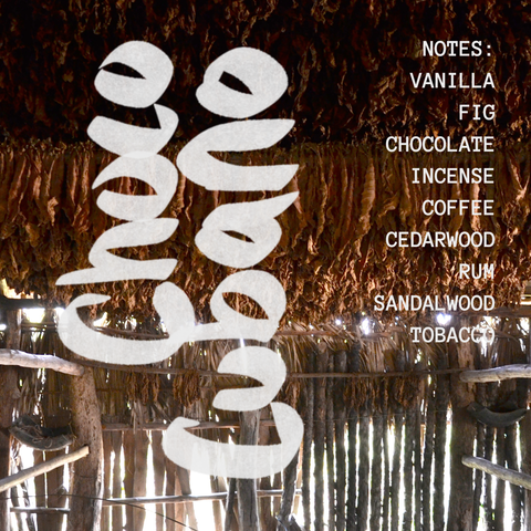 Choco Cubano extrait de parfum