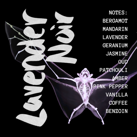 niche fragrances | lavender noir extrait de parfum