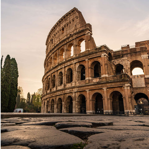 coliseum in Rome 